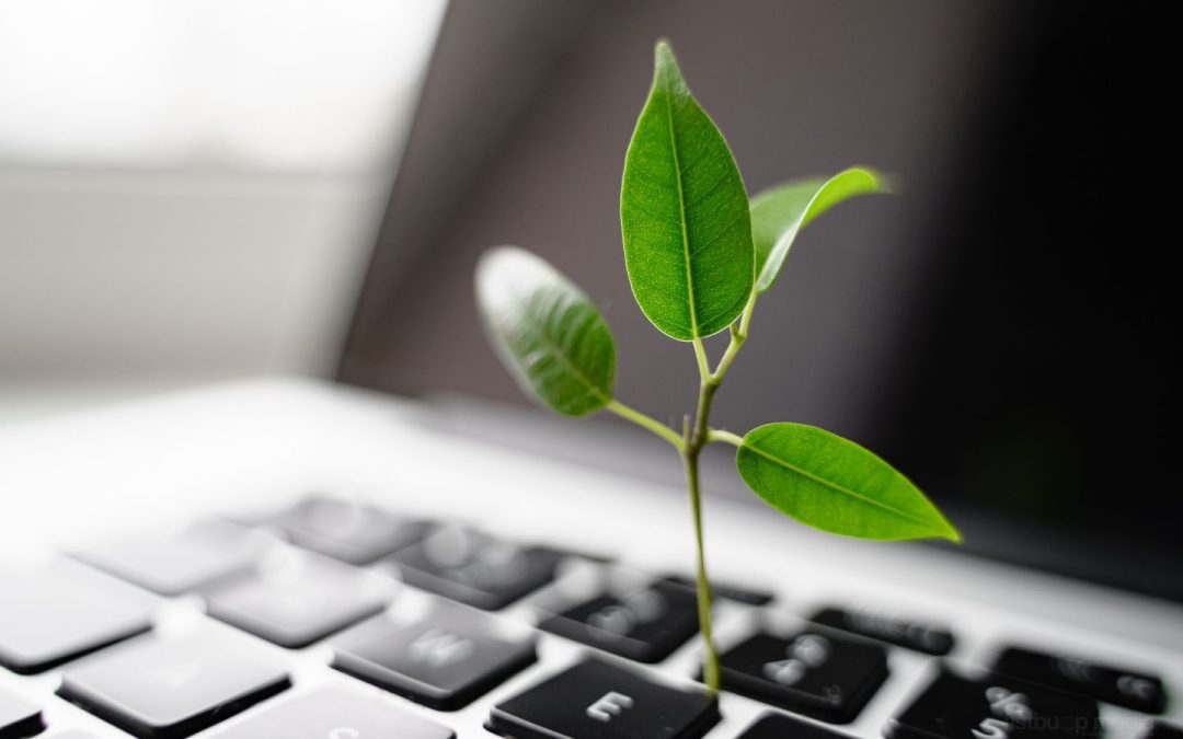 Why Bloggers Need a Growth Plan: Sustainable Success Strategies