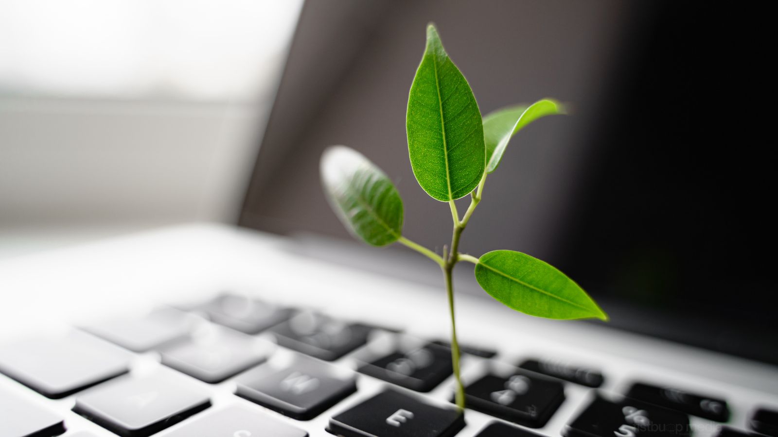 blogger growth plan blogger growth plan