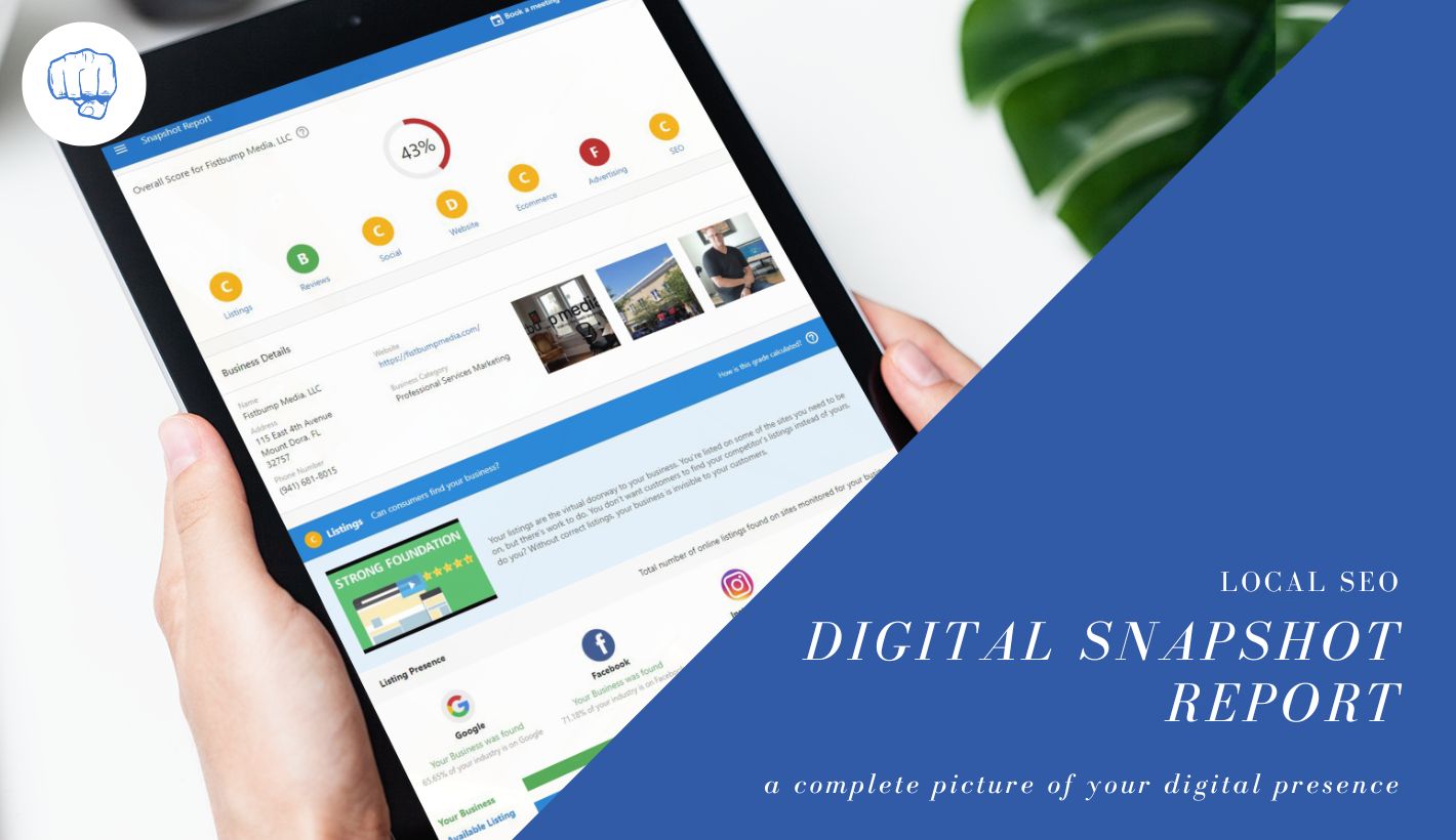 local business snapshot report