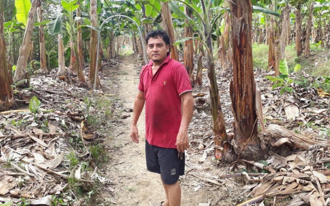 Kiva Impact Report: Uplifting Entrepreneurs $100 at a Time