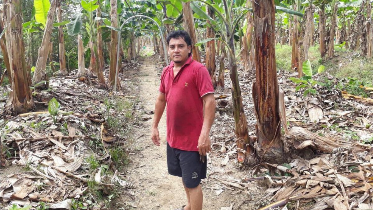 kiva impact report kiva impact report