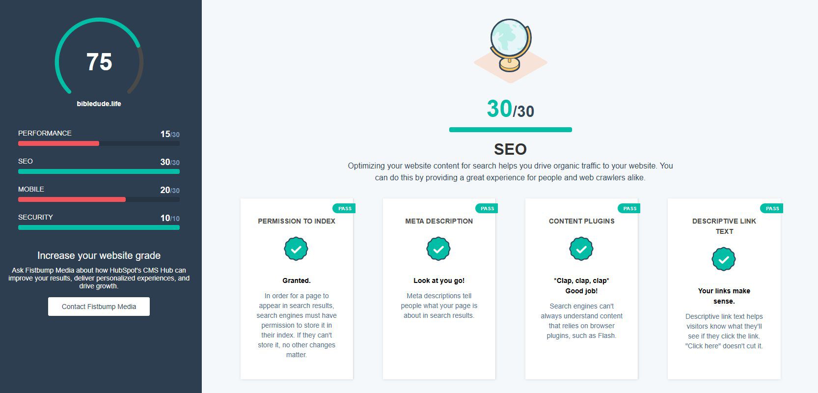 website seo score